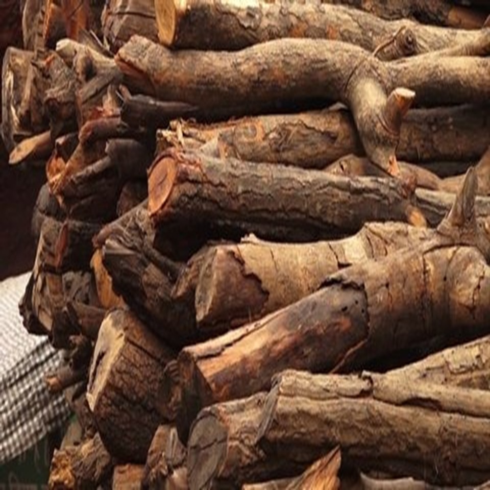 Funeral Woods